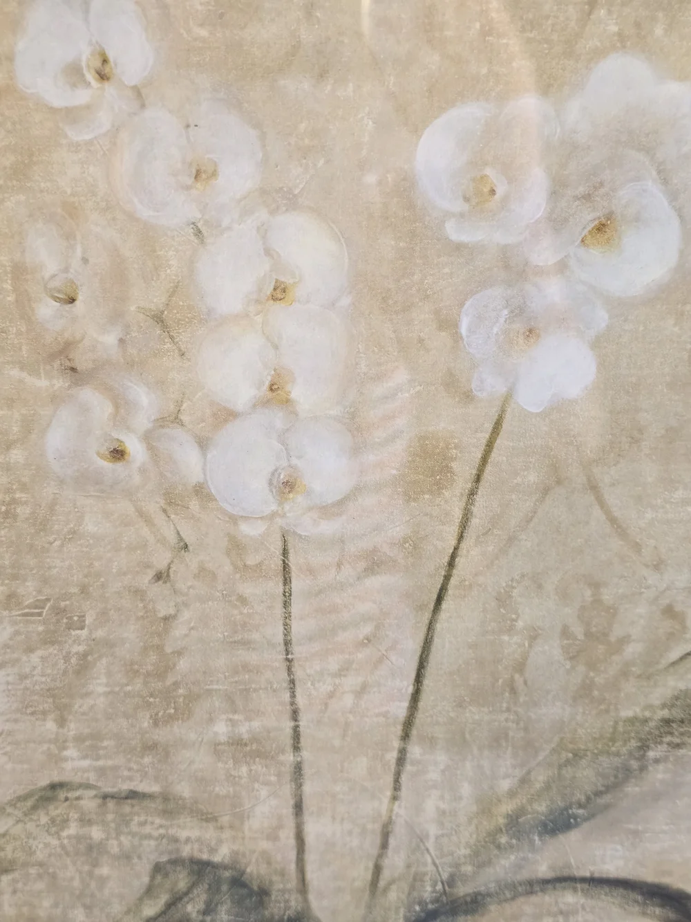 White Orchid Botanical Framed Wall Art New 12x10 Inch
